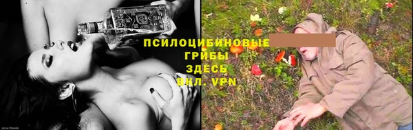амф Каменногорск