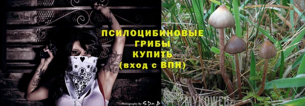 амф Каменногорск