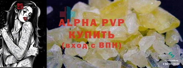 амф Каменногорск