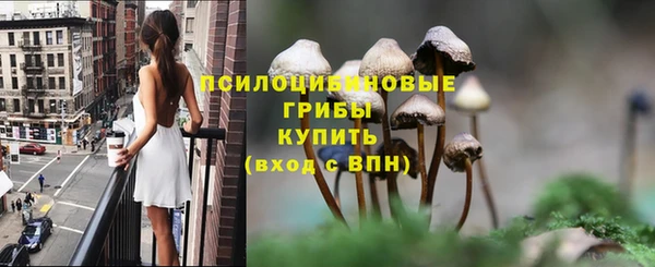 таблы Каменка