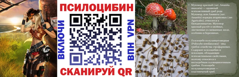 Галлюциногенные грибы мицелий Купить закладки Гуково